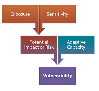 Flow Chart determining vulnerability. At top of chart, Exposure and Sensitivity lead to Potential Impact or Risk and Adaptive Capacity which ultimately flow into Vulnerability.